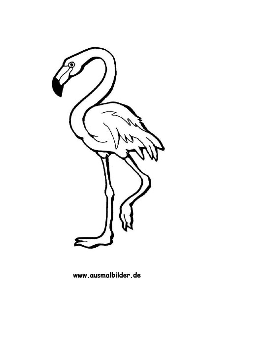 Ausmalbilder Flamingo Zum Ausdrucken